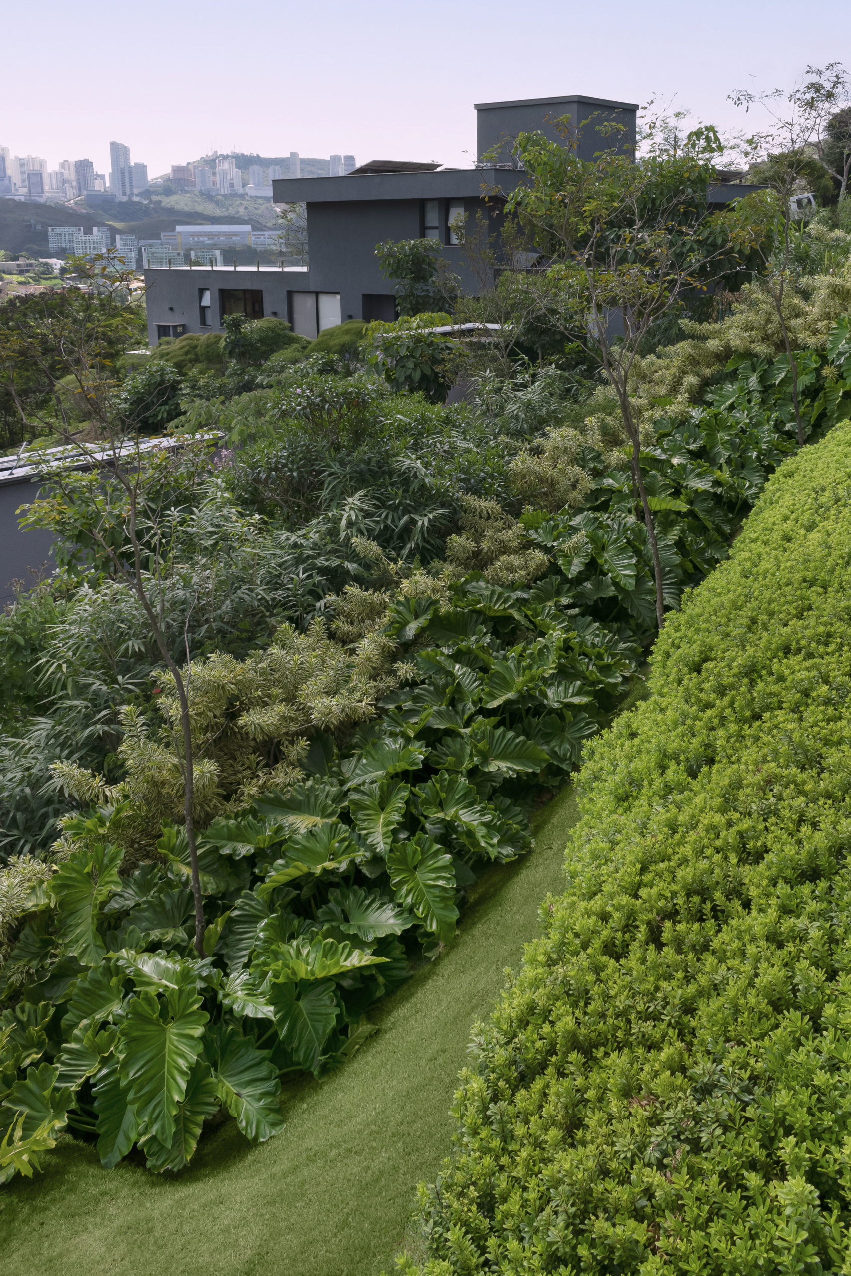 Jardim tropical e integrado à arquitetura em uma casa mineira, com o paisagismo desenvolvido em paralelo à construção, tirando partido do terreno em declive e abraçando a residência em Nova Lima, Minas Gerais.