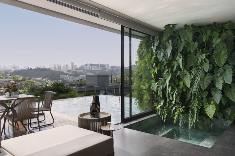 Parede verde, com plantas naturais, na parede de fundo de uma piscina.