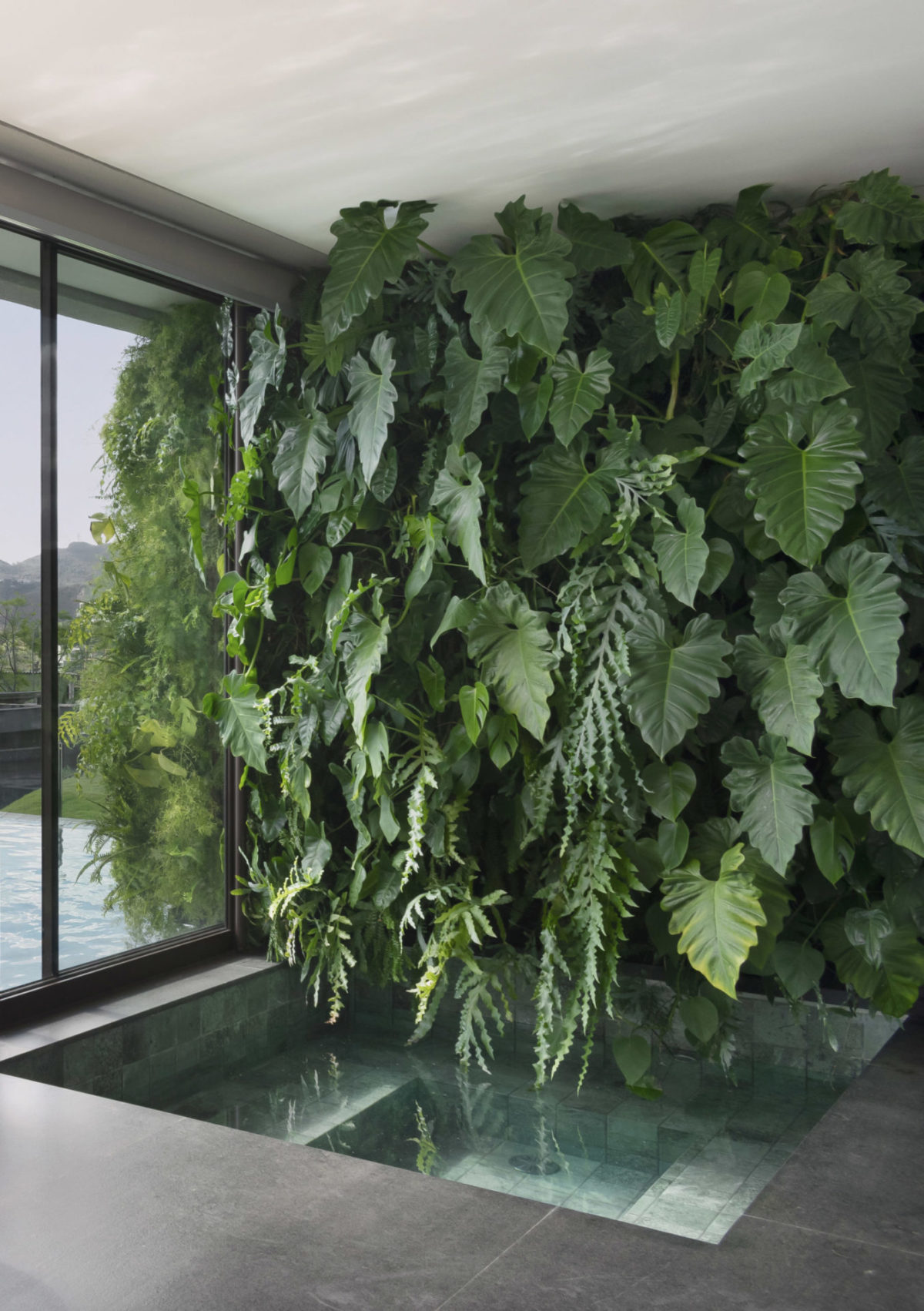 Parede verde, com plantas naturais, compondo a área da piscina, em uma casa.
