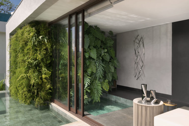 Piscina com parede verde de plantas naturais.