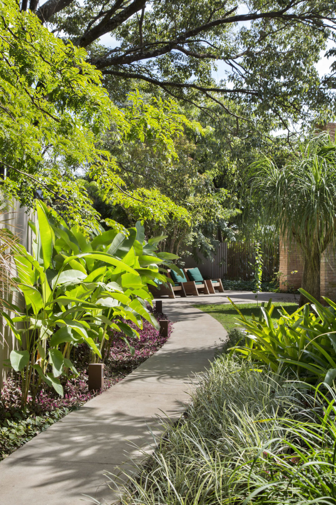 Caminho em meio ao jardim de uma casa