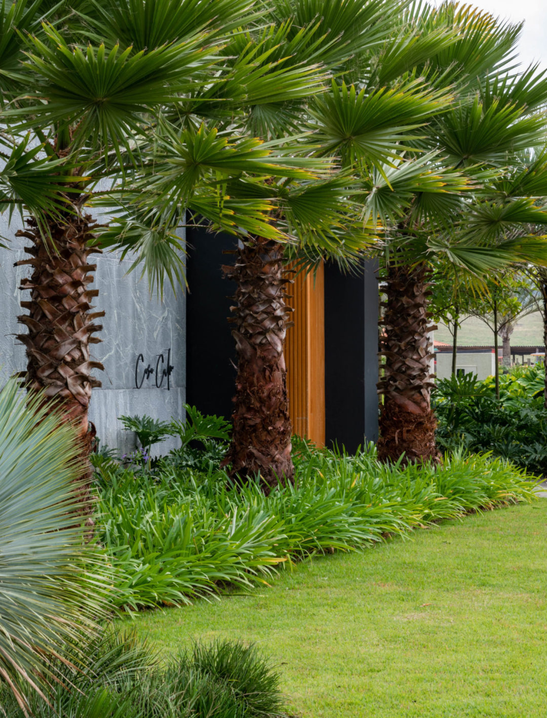 Casa de campo em Bom Sucesso (MG) com uma generosa área verde de 790 m², com paisagismo exuberante e tropical assinado pela paisagista Flávia D'Urso. No total, foram plantadas no total 33 espécies de plantas variadas.