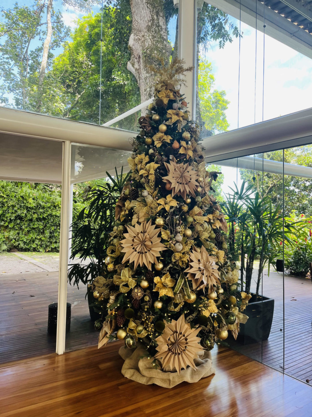 As luzes estão piscando, o panetone aparece em várias versões e a uva-passa pede passagem. Arvore de Natal enfeitada com elementos na cor branca