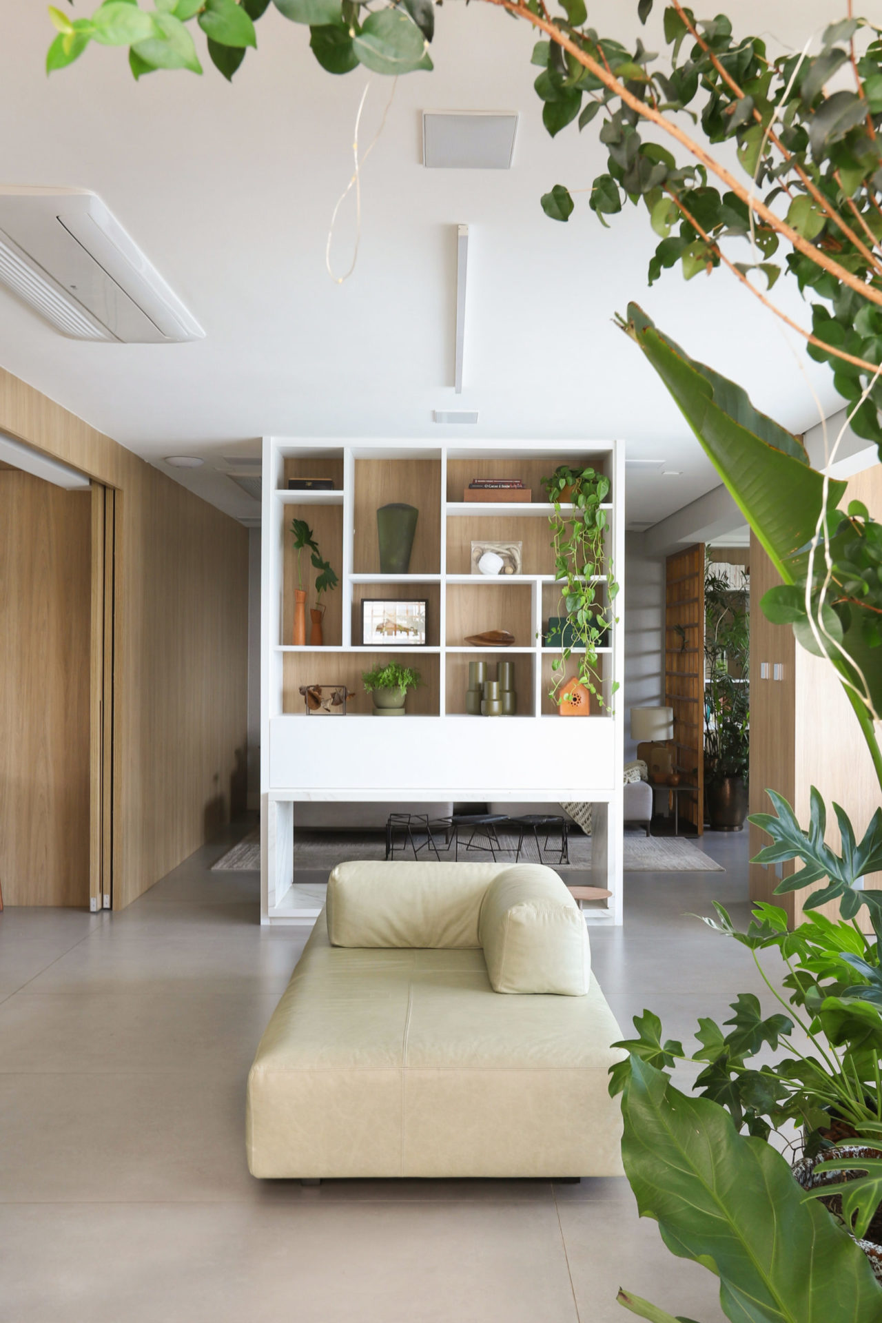 sala com plantas