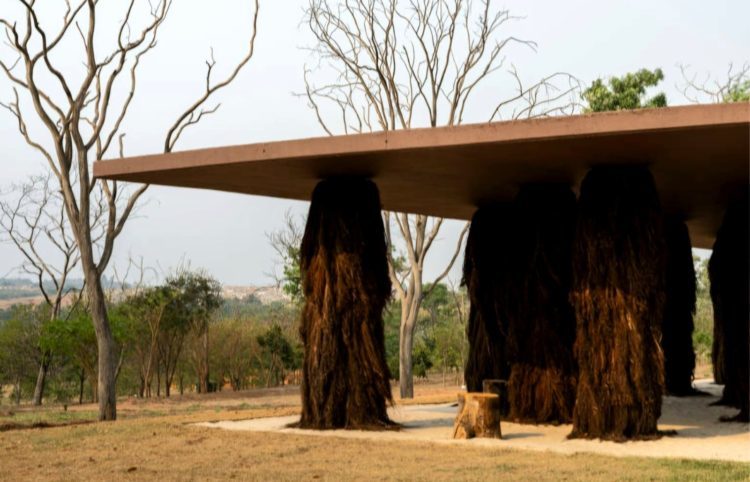 Instituto Campana, fundado em 2009 pelos irmãos, inaugurou seu projeto mais ambicioso – o Parque Campana.