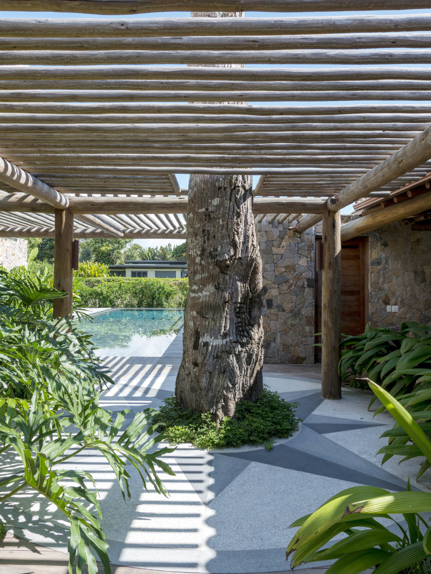 árvore preservada em casa de praia em Trancoso