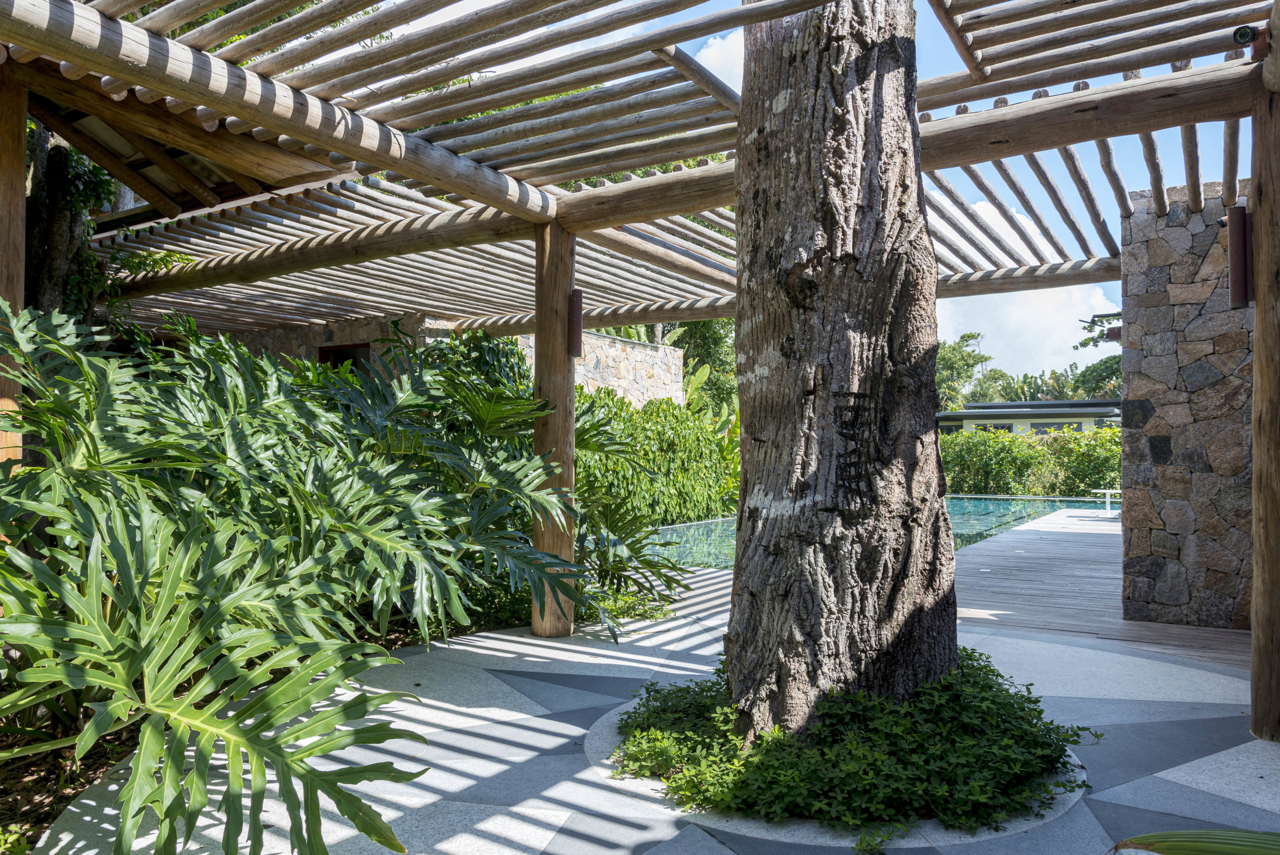 tronco de árvore preservada em casa de praia