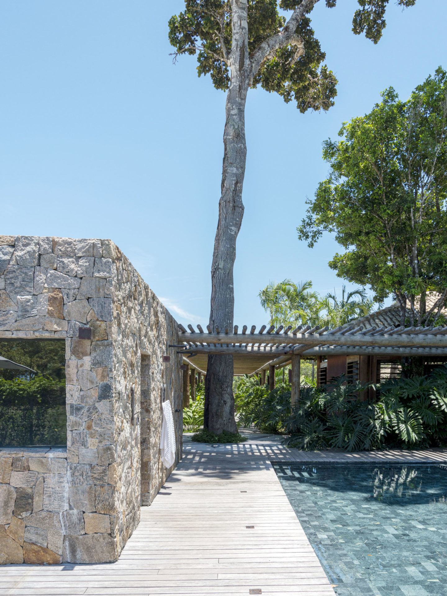 árvore alta preservada em casa de praia