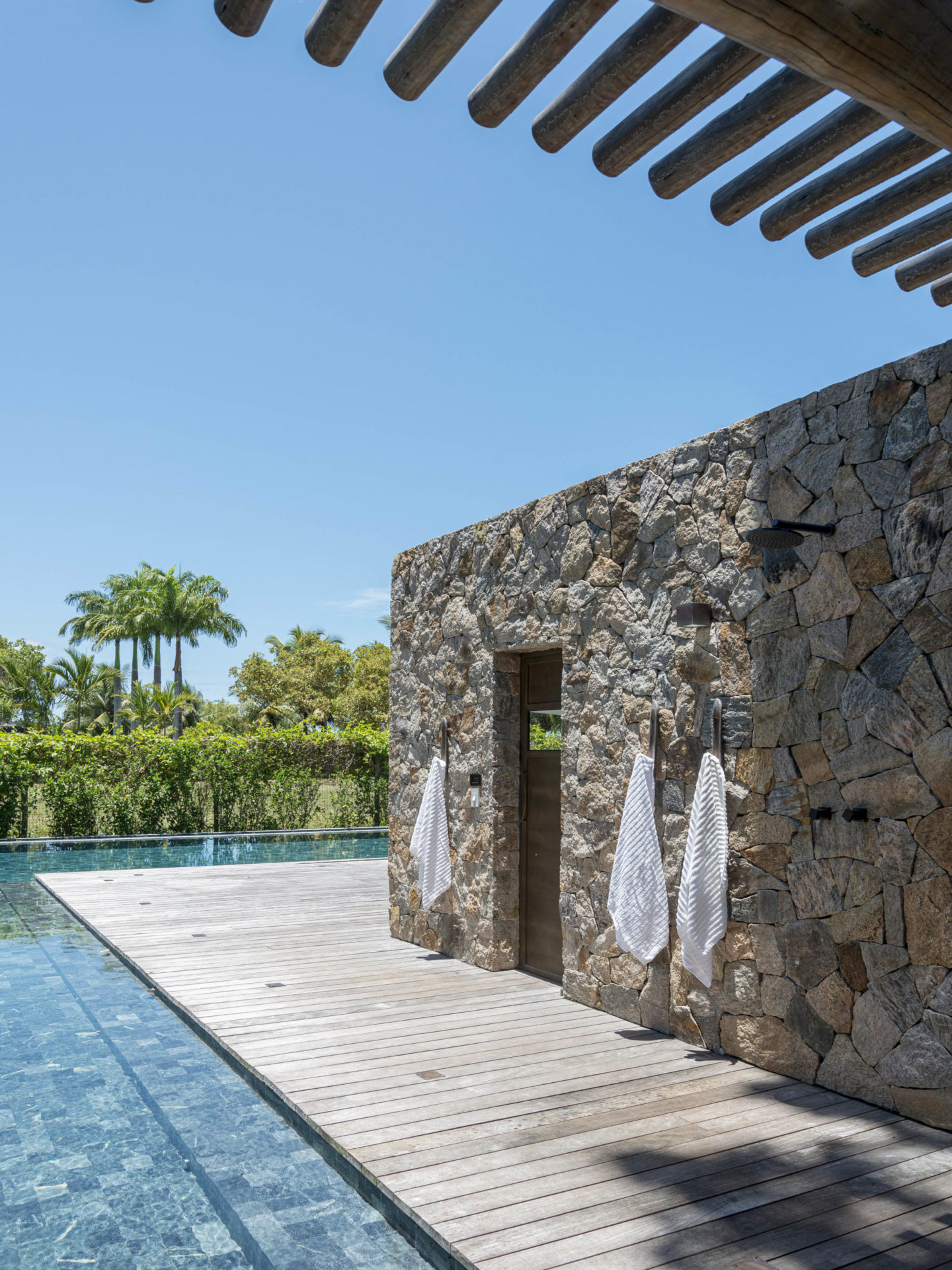 piscina em uma área com muitas plantas e árvores