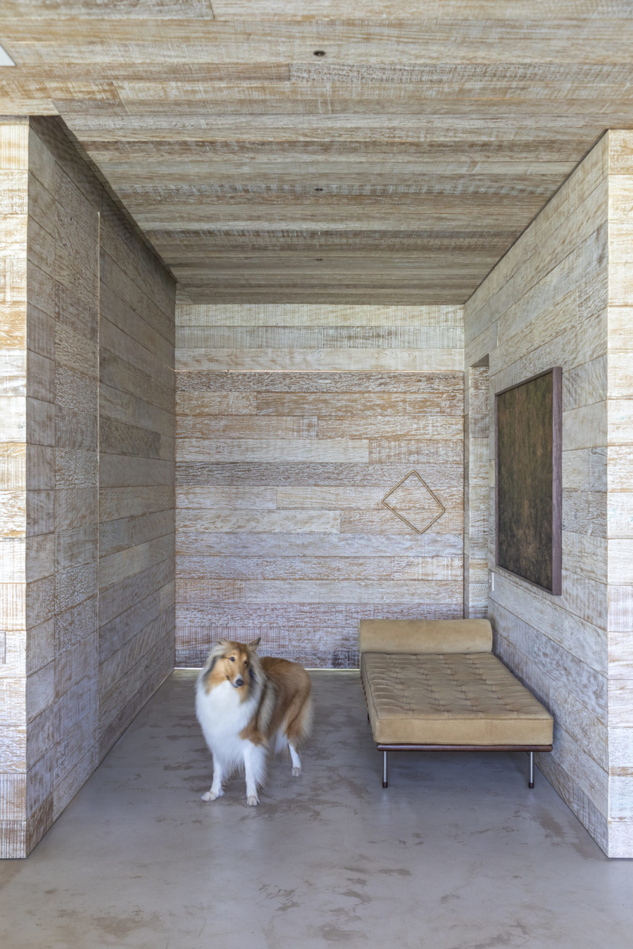 espaço de meditação com um divã , um quadro na parede e um cachorro bege e branco