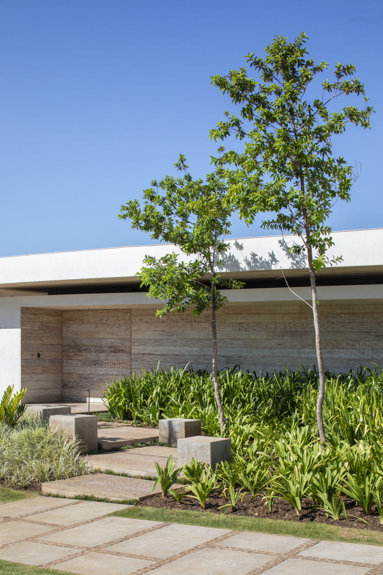 área externa de casa térrea com árvores na frente