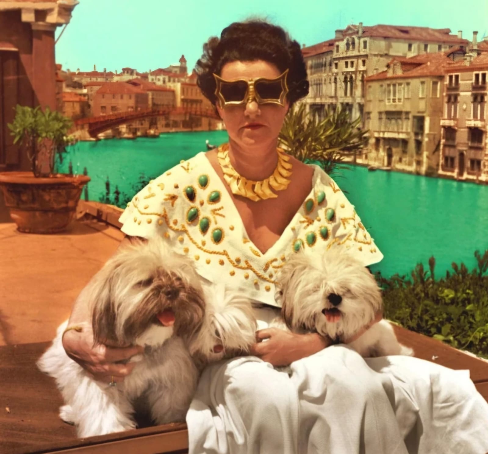 Foto colorida de mulher branca, alta, de cabelo curto e dois cachorros pequenos