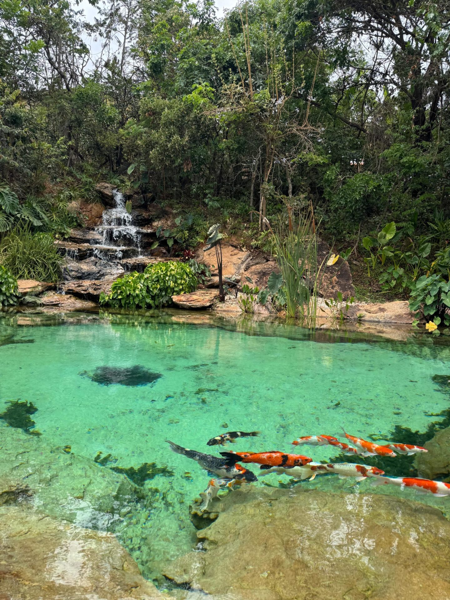 na foto um lado com águas verdes, uma pequena cachoeira e muito verde