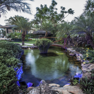 na foto um lago com pedras ao redor e muitas plantas e árvores