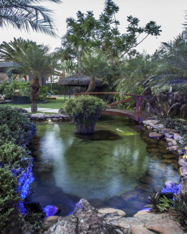 na foto um lago com pedras ao redor e muitas plantas e árvores