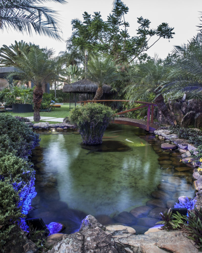 na foto um lago com pedras ao redor e muitas plantas e árvores