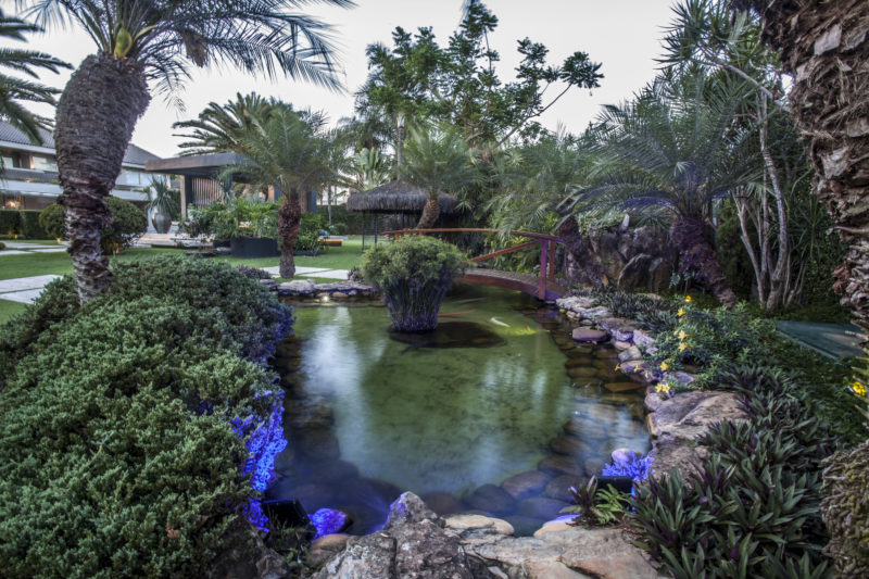 na foto um lago com pedras ao redor e muitas plantas e árvores