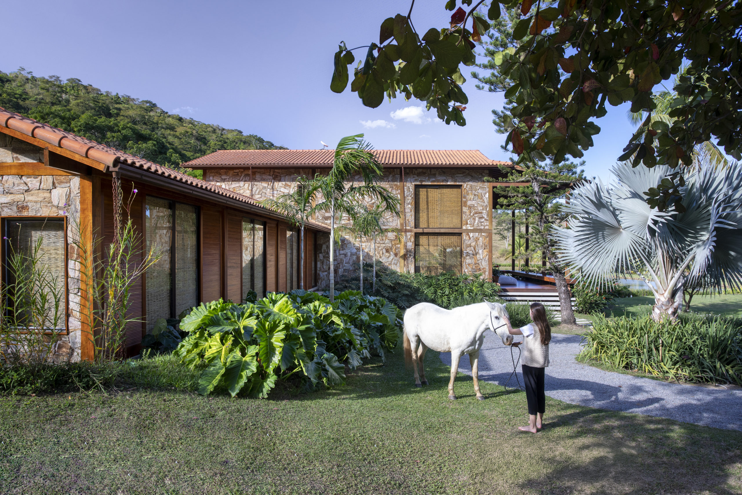 na foto imagem de casa com pedra natural nas paredes e madeira cumaru no forro e um cavalo branco com uma mulher na frente