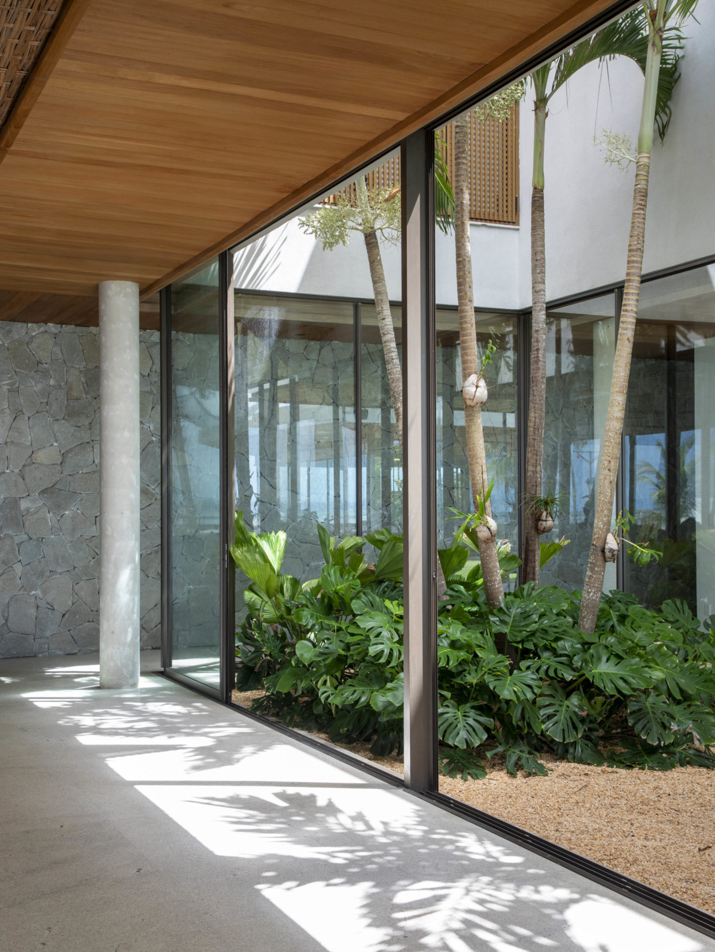 na foto corredor com plantas nas laterais