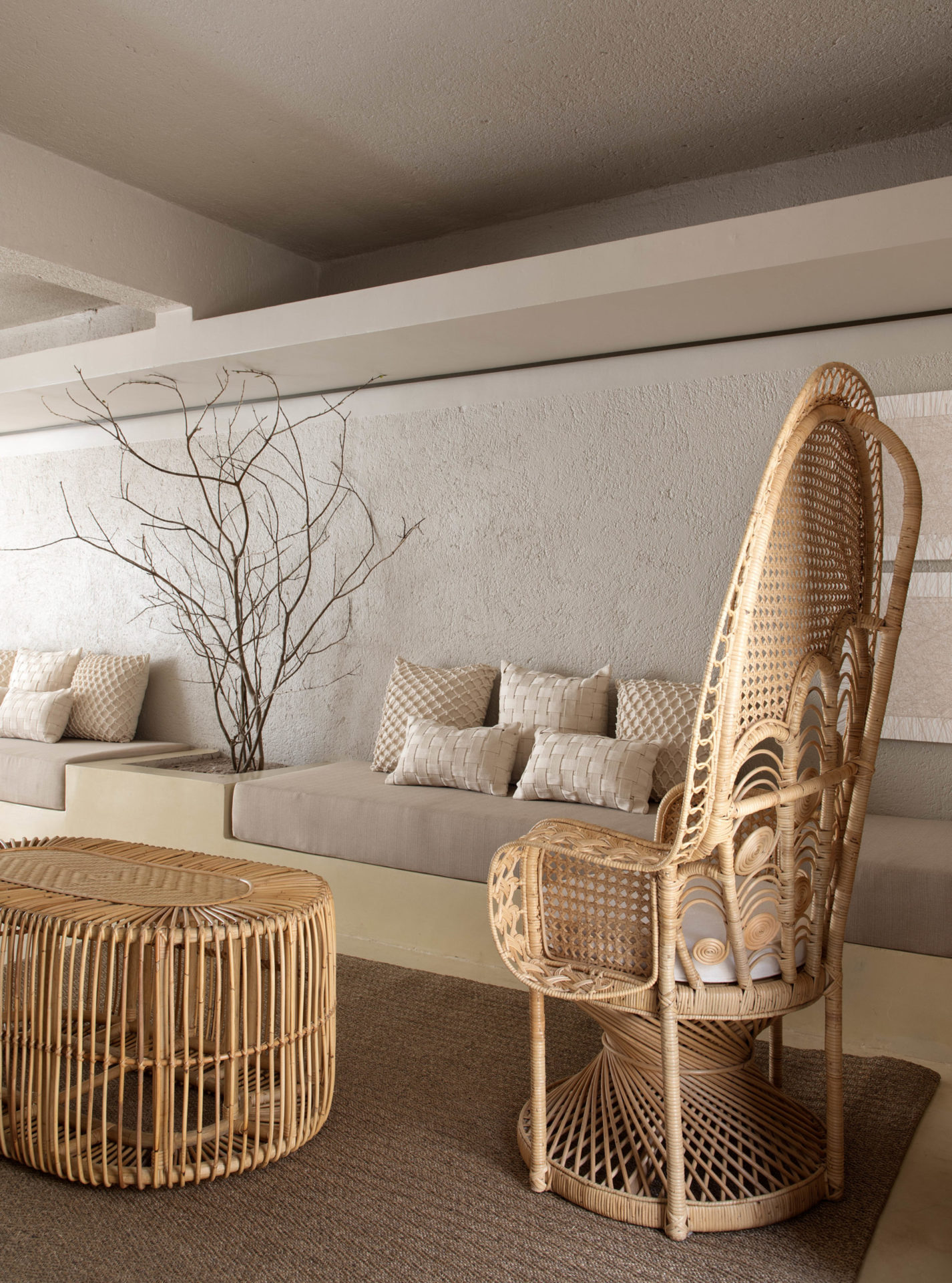 na foto sala de estar com cadeira de palha