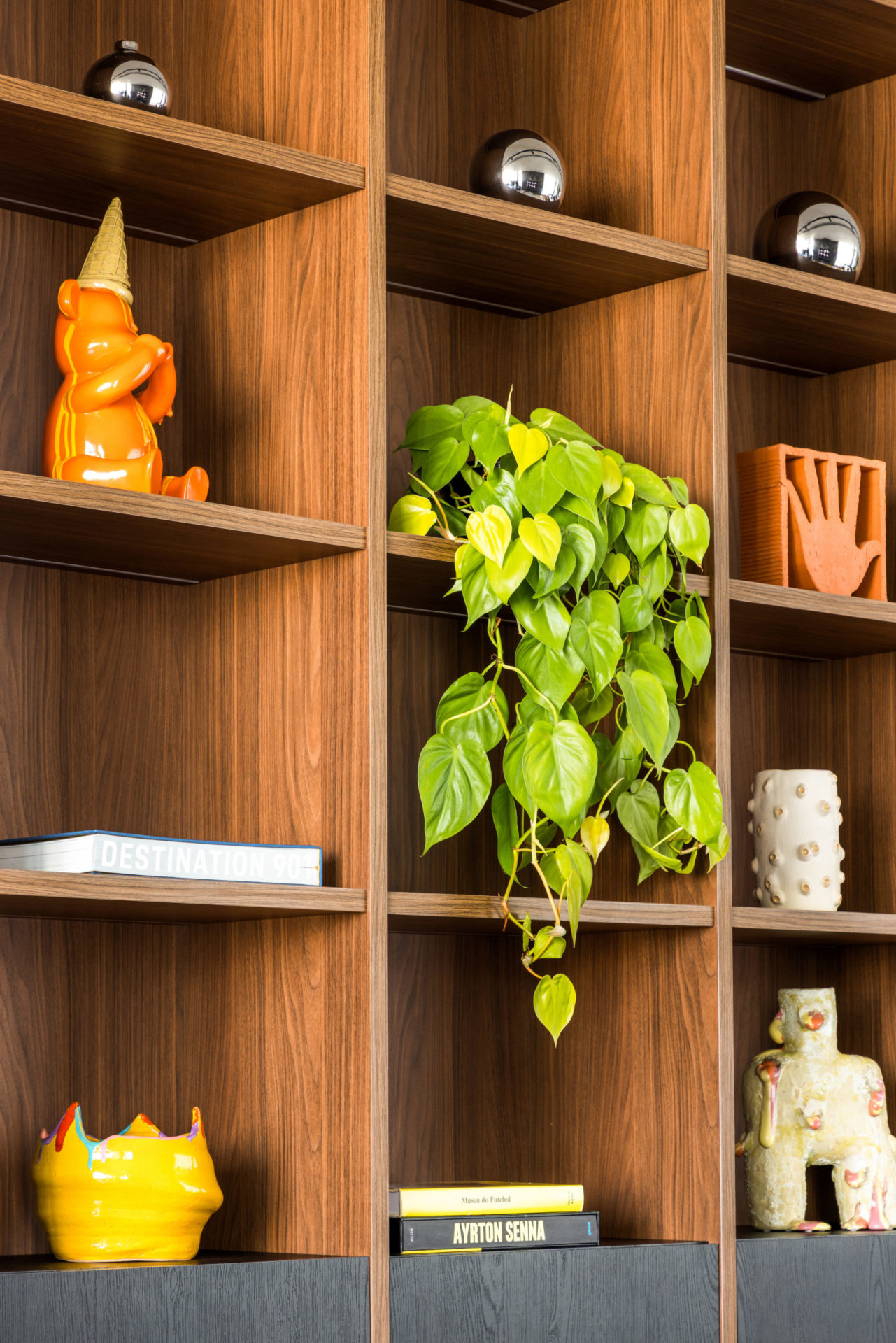 na foto nichos de madeira com plantas e objetos