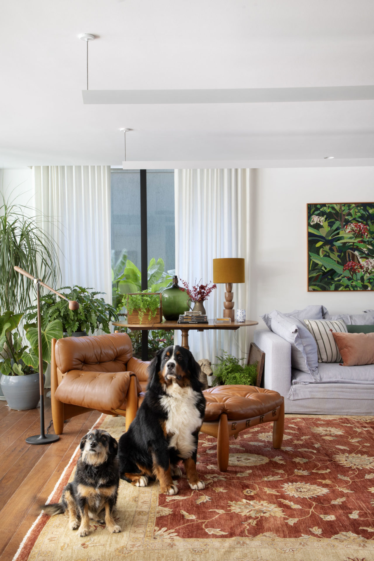 na foto sala com poltrona de couro, mesa de canto, janela, sofá e dois cachorros sentados