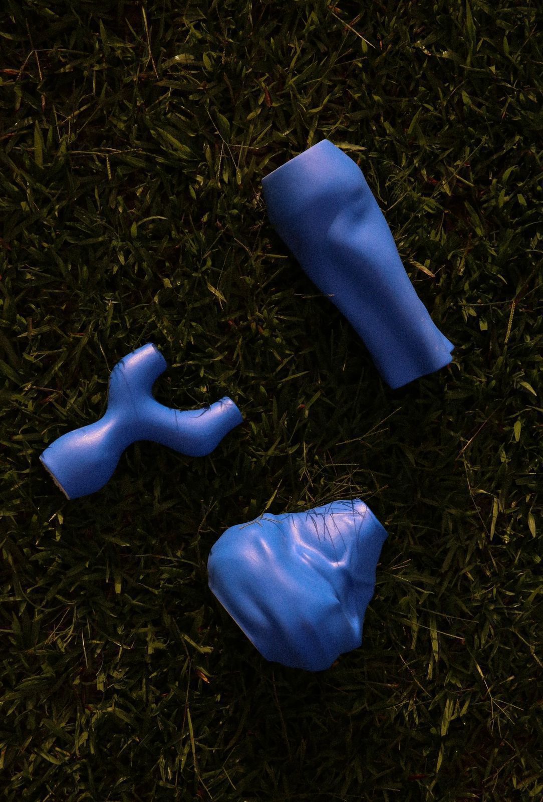 na foto três objetos pequenos em uma grama