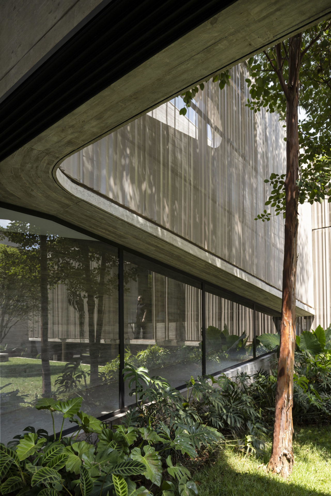 na foto área externa de casa modernista com jardim