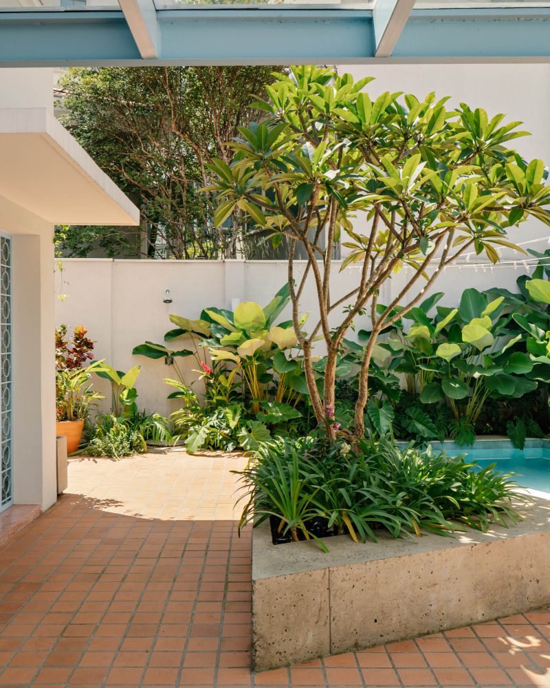 na foto quintal de casa de vila com piscina e árvores