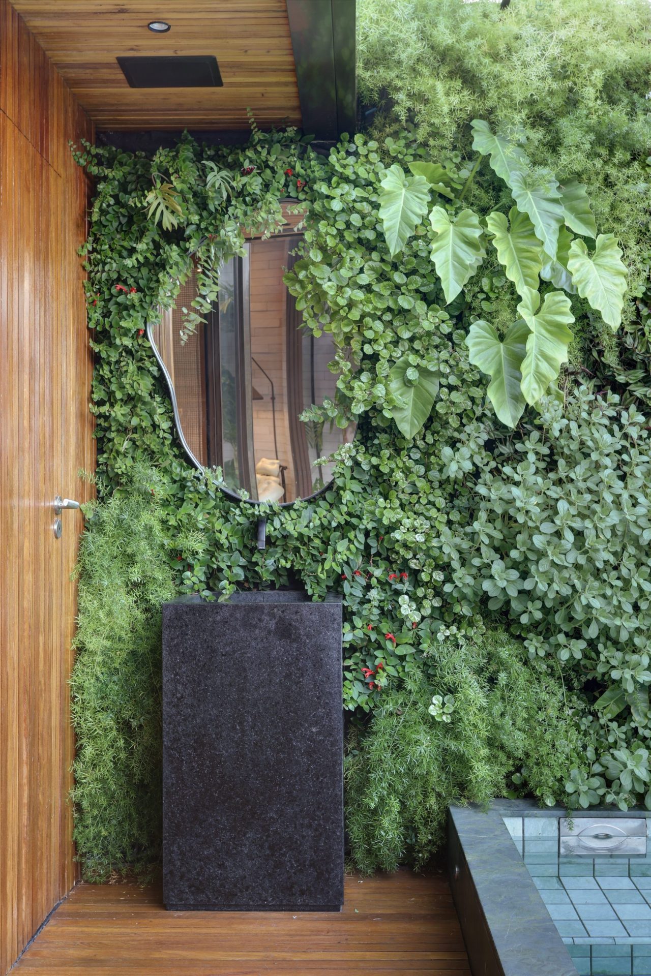 na foto um lavatório esculpido em granito preto serrado se integra ao jardim vertical