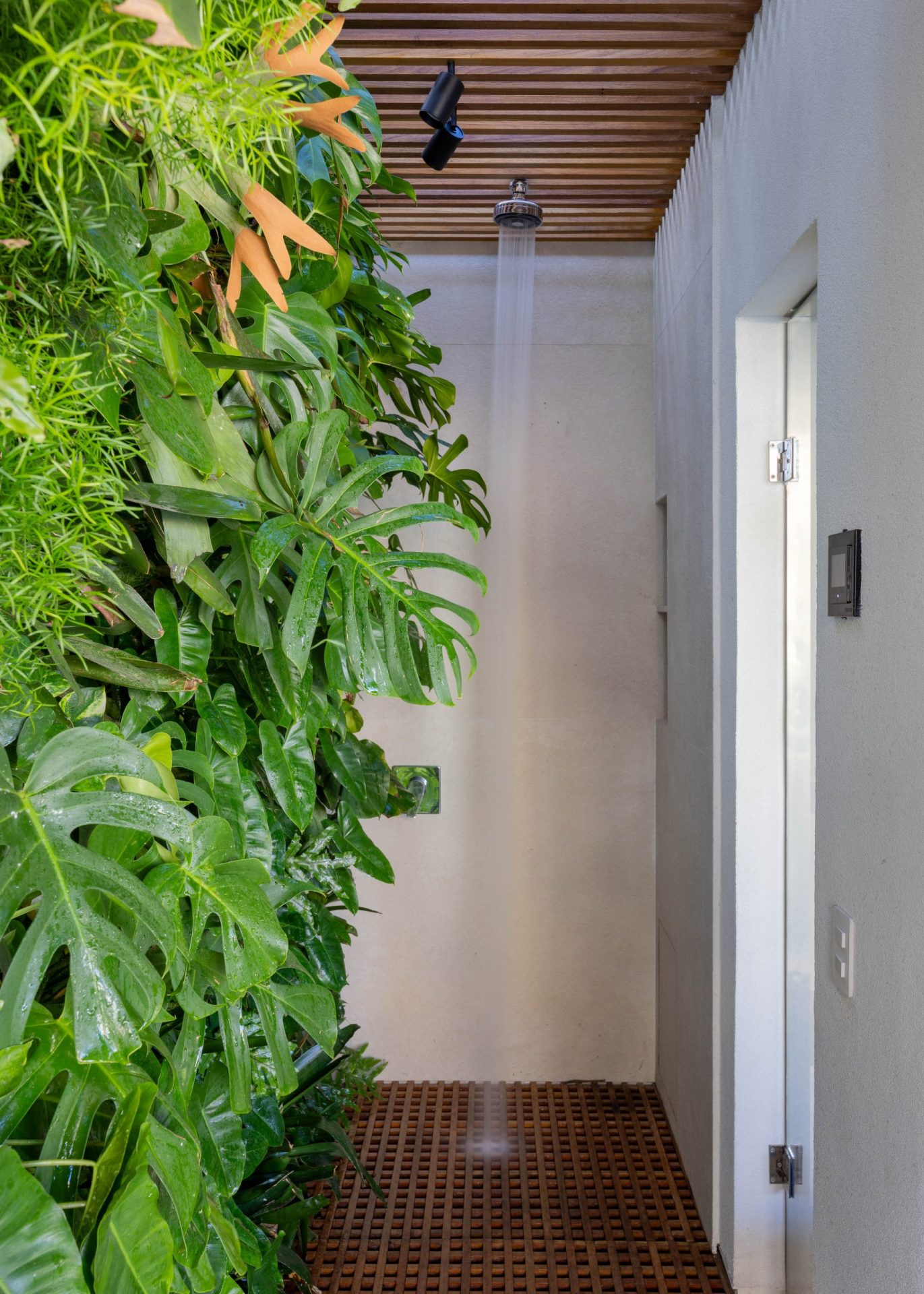 na foto jardim vertical de cobertura duplex